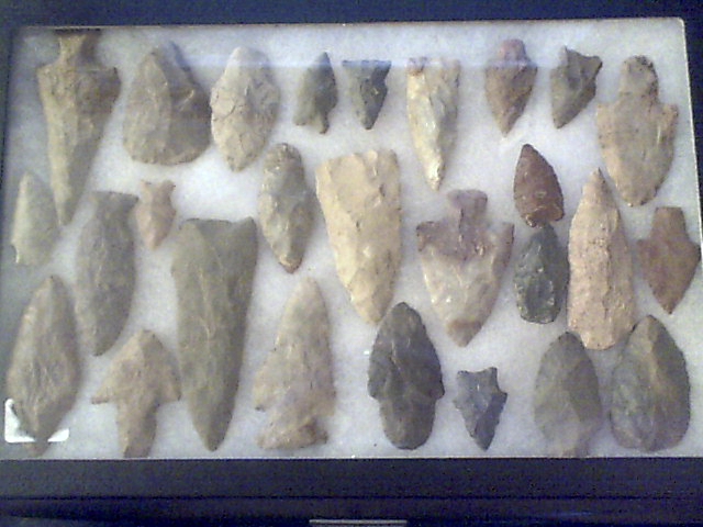 picture3.jpg