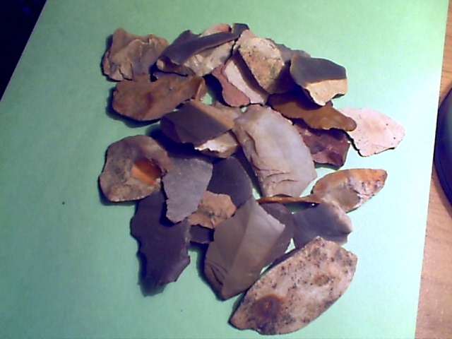 picture98.jpg