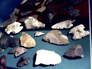 picturep18.jpg